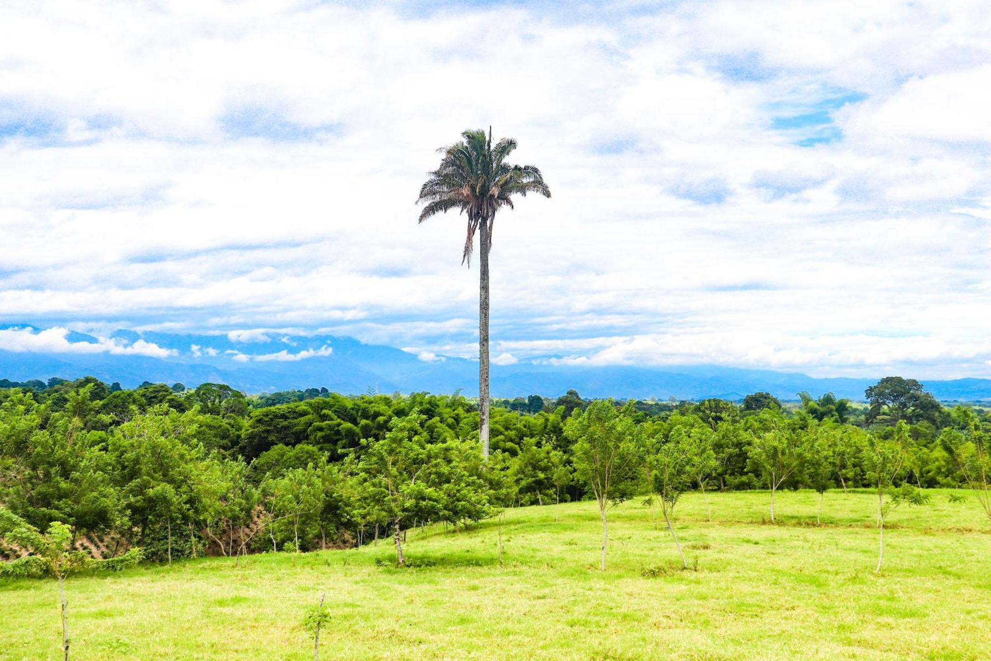 Hotel Quindio Campestre Montenegro Bagian luar foto